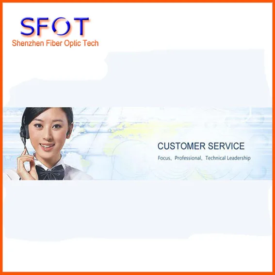 

Professional Custom Service (2nd for V1600G2 FTTH)