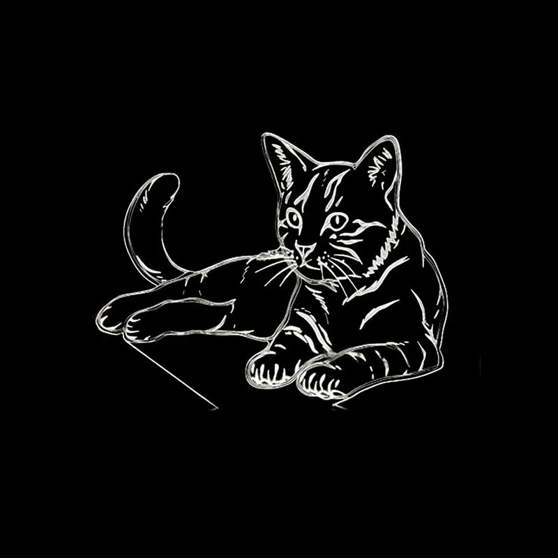 Новинка Кот 3D иллюзия Лампа USB LED сенсорный датчик света 7 видов цветов Пульт