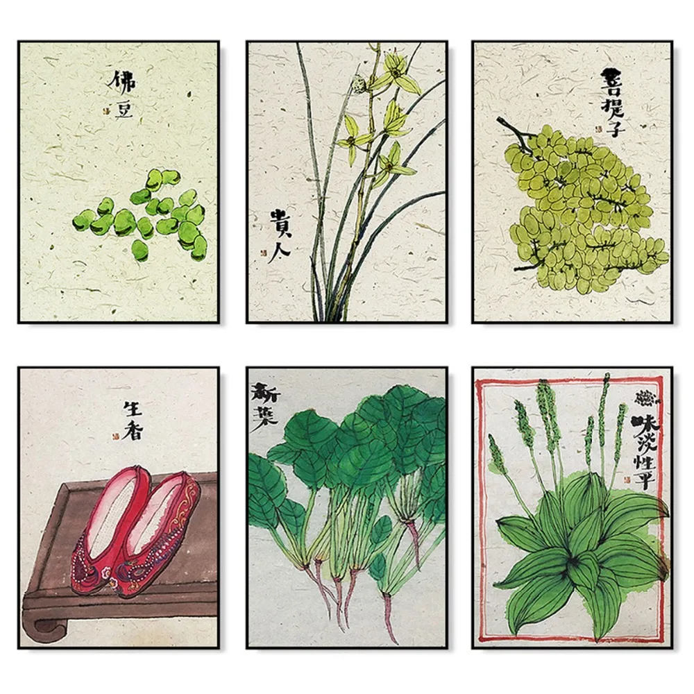 Пищевые урожая Peasecod зеленые листья растения естественная сцена Современная