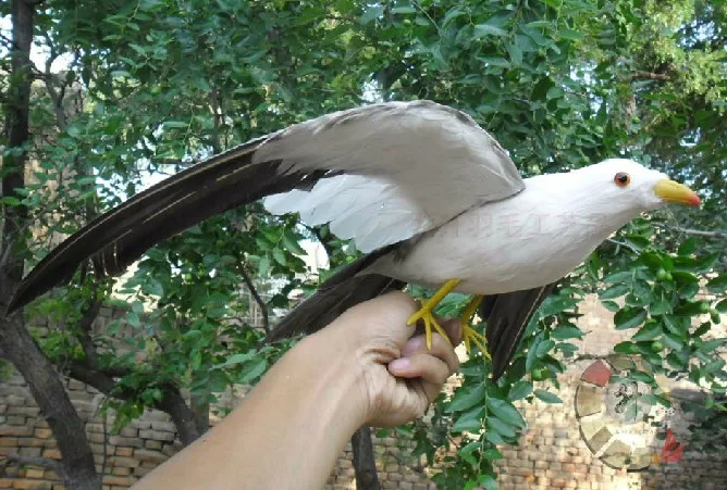 

55x30cm spreading wings gray colourful Seagull feathers bird model toy,polyethylene&furs handicraft,home decoration gift,d1087
