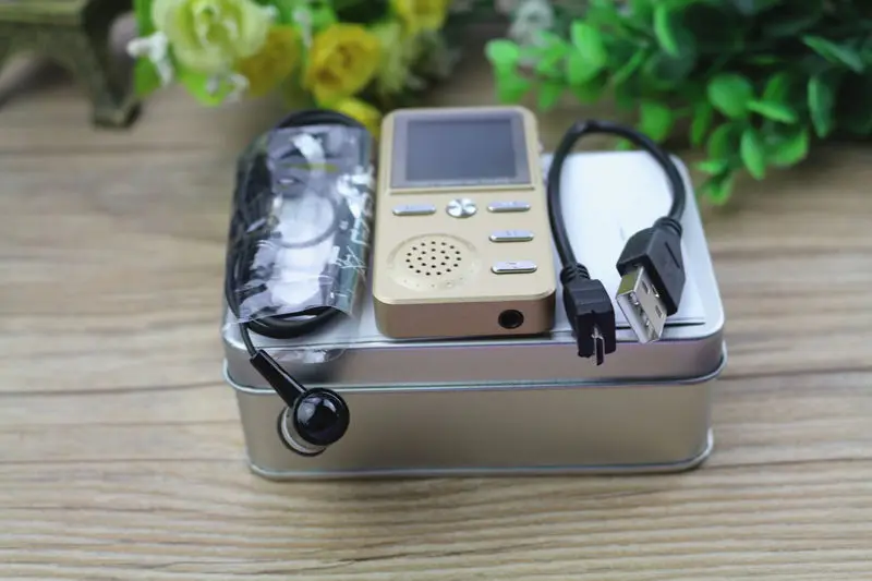 8 ГБ/4 Гб HD MP3-плеер с экстравертным динамиком FM радио Будильник Hifi без потерь музыка Поддержка видео электронная книга MP3-плеер X6