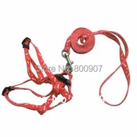 Bone  paw Print Small Pet Dog Lead Leash  harness