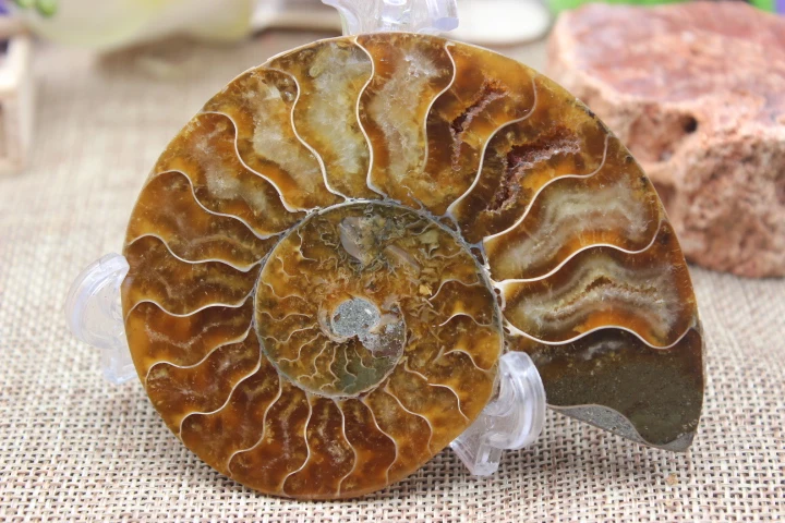 Пары раздельных фотографий исцеление Мадагаскара A9|pair| |