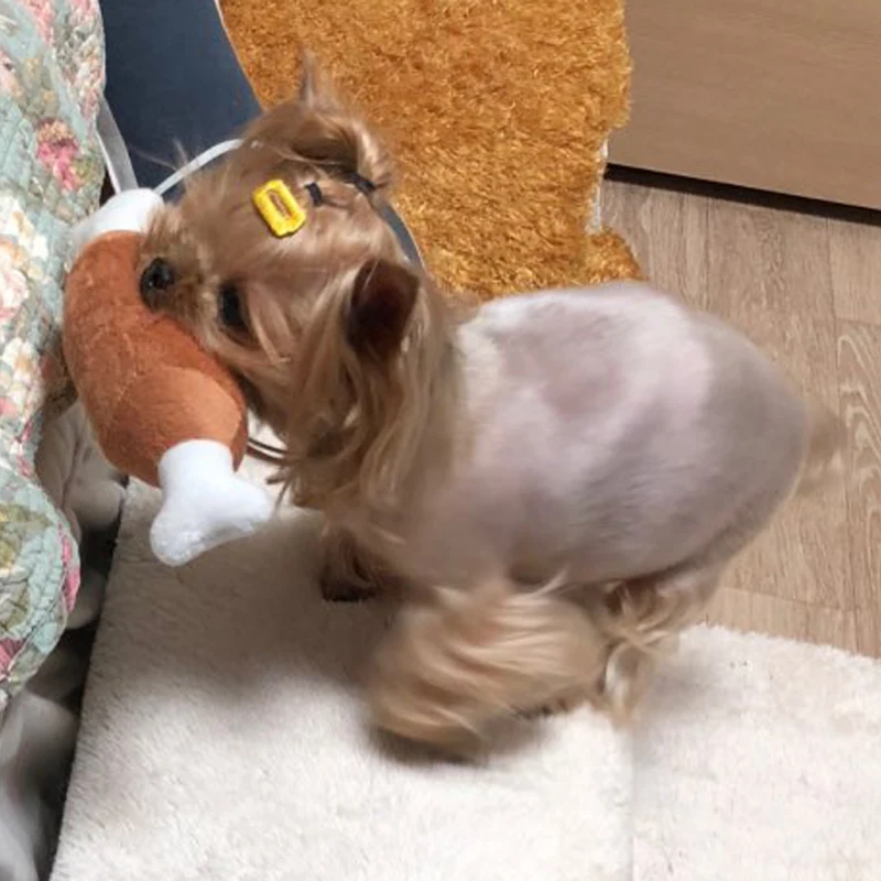 1 шт. игрушки для собак щенков пищалка пищащий плюшевый звук курица барабанный