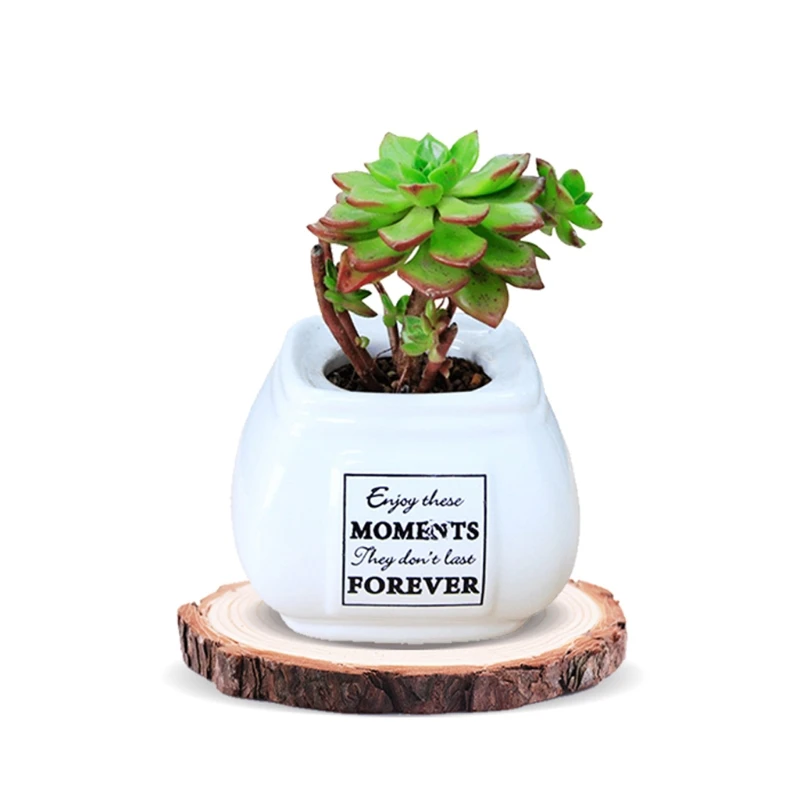 COCODE натуральные пустое дерево кусочки круглые необработанные деревянные диски