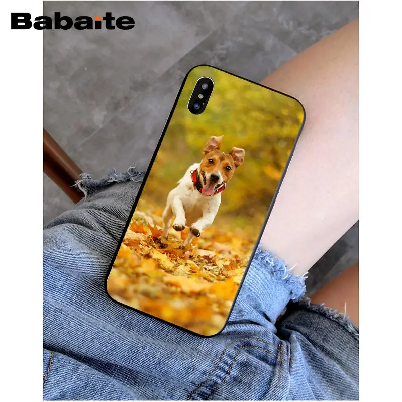 Babaite I love Jack Russell Terrier pop dog невероятный чехол для телефона для iphone 5 5s 5c SE и 6 6s 7 7plus 8 8plus чехол для телефона
