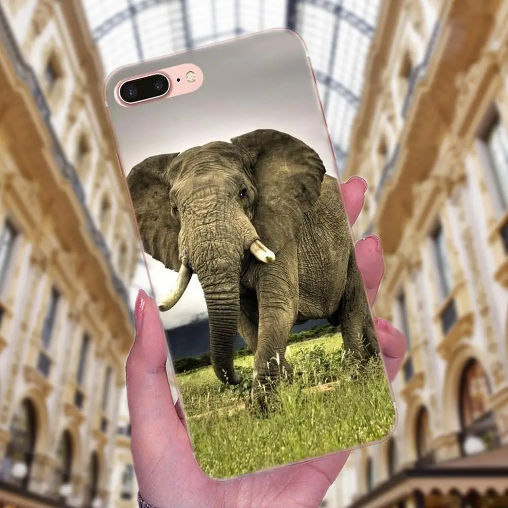 Мягкие чехлы Aimal для Apple iPhone 4 4S 5 5C 5S SE 6 6S 7 8 Plus X XS Max XR бегущие лошади и слоны модные |