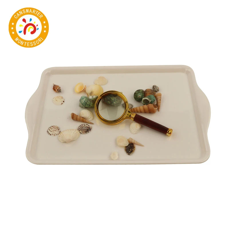 Материал Монтессори изучение бука и ракушки Ежедневная жизнь детские игрушки