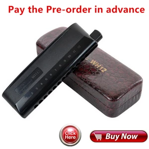 Оплатите предварительный заказ заранее 12 отверстий Хроматическая гармоника WH12 Профессиональный музыкальный инструмент рот орган полуматовая ABS крышка