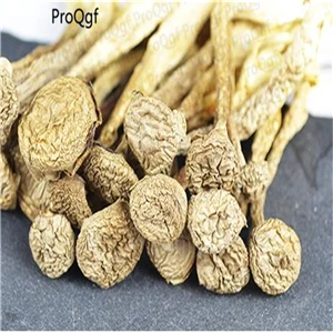 Cornu Corvi 50 грамм триголома тремелла термиторни спарассис Saarcodon Pholiota Panellus Morchella Lentinus Hericium Dictyophora - Цвет: Cornu Corvi