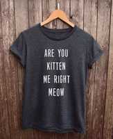 are you kitten me right meow shirt womens shirt cat shirt cat lover tshirt cat gifts more size and colors b108