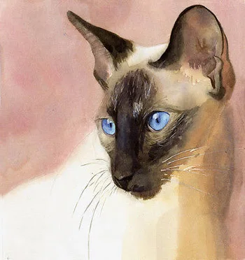 Сиамская кошка Арт-топ картина маслом -- 24 дюйма художественная живопись # Топ Декор животных масло на холсте-принимаем на заказ живопись