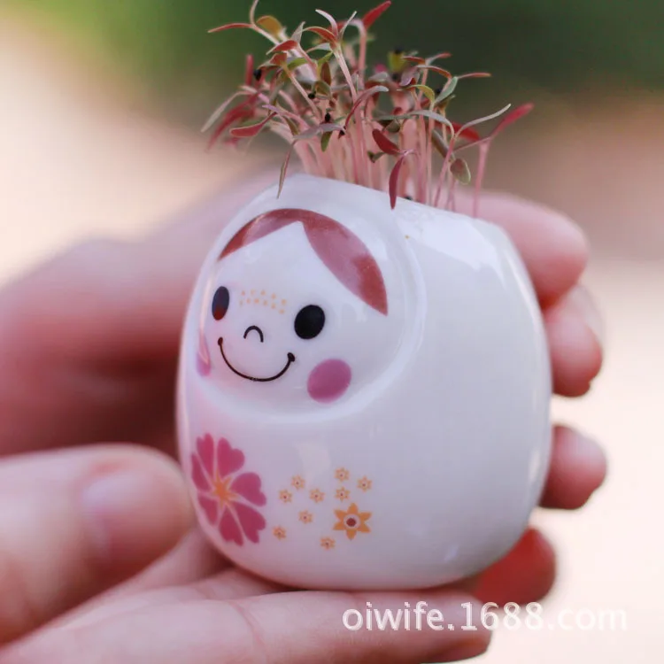 Сделай Сам офис мини-бассейна передача любовь эльф Крытый зеленый суккуленты в