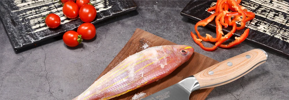 WALLOP Professional пособия по кулинарии кухонные ножи комплект 4 шт. шеф повар Santoku Мясо Кливер для очистки овощей нож нержавеющая сталь