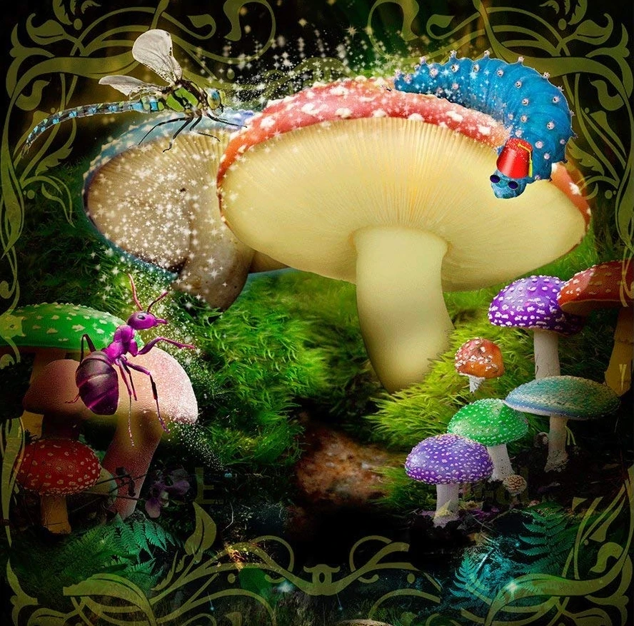 

Alice Wonderland Bugs Mushroom Forest backdrops High quality Computer print children kids background