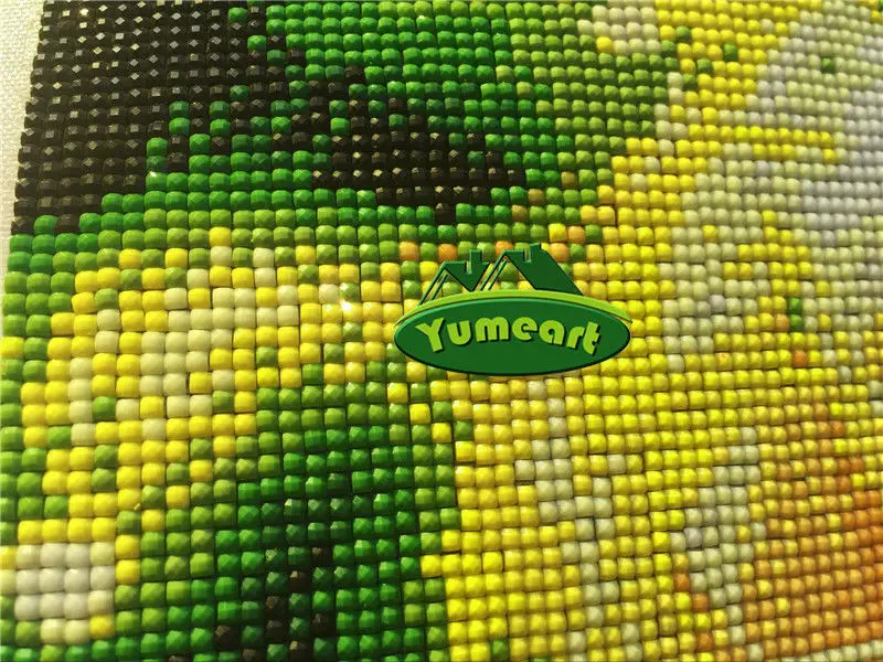 Набор для алмазной вышивки сделай сам мозаика с изображением скелета цветов