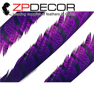 purple ZPDECOR 50 шт./лот, разные цвета, хорошее качество, Зебра, перья для девушек, хвост, для карнавала, головной убор, Декор, перья, EMS/DHL - Цвет: purple