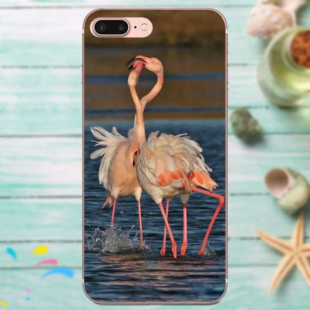 Фламинго Мир животных природа птицы для Galaxy A3 A5 A7 On5 On7 2015 2016 2017 Grand Alpha G850 Core2 Prime S2