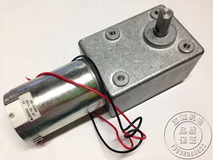 600JSX, червячный редуктор турбины с большим крутящим моментом, постоянный ток 12 В, 24 В, GW600