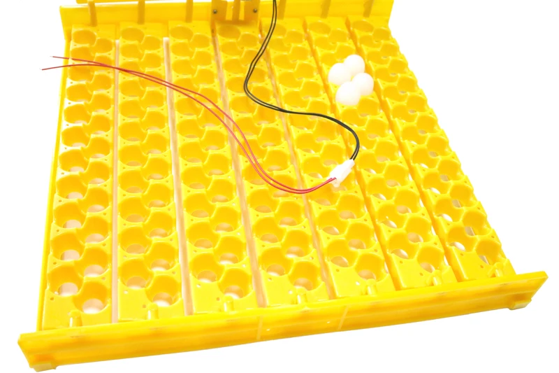 Перепелиные яйца попугая 154 инкубатор для яиц с поворотным лотком автоматический