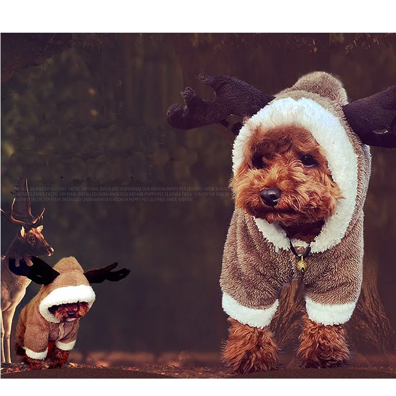 HSWLL одежда для домашних животных с четырьмя носками теплая зимняя собак лосинами