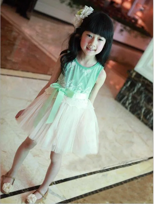 Free shipping 2013 girls' dresses tutu for girls casual princess children clotings 5pcs/lot C0128 | Детская одежда и обувь