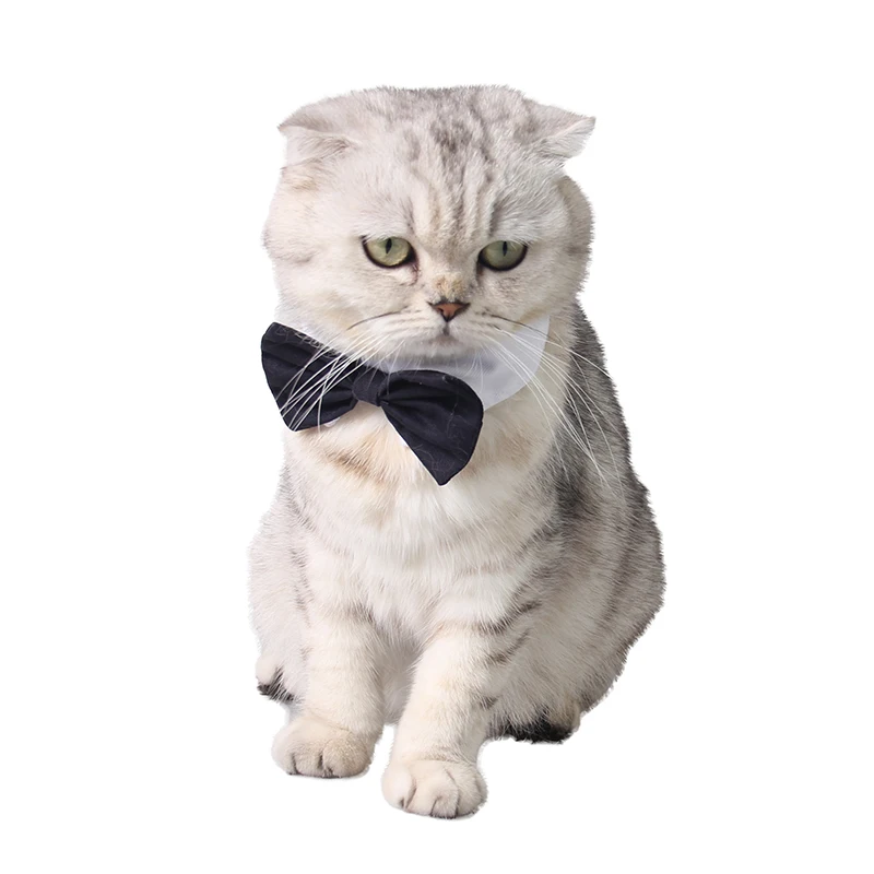 Домашнее животное кошка собака в виде симпатичного черного галстук бабочка B006|dog