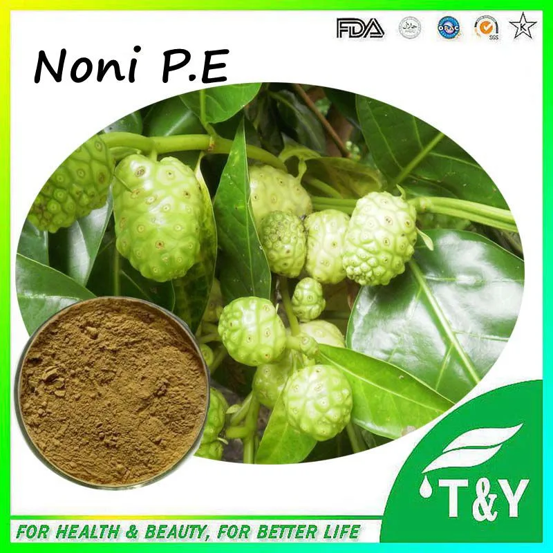 Горячие продажи Растительного экстракта Нони концентрат сока/Moringa экстракт