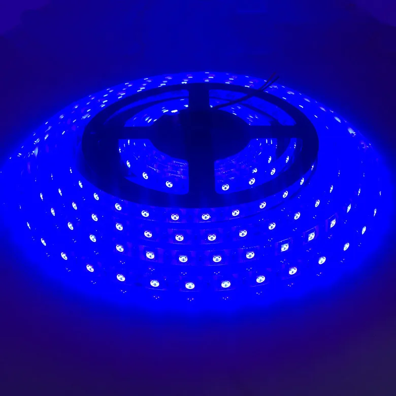 Синий Светодиодный светильник 5 М 5050 SMD с накладными полосками, предпочтительный для проекта DC 12 В/24 В белый/теплый белый/красный/зеленый/синий IP20/IP65/IP67(водонепроницаемый - Испускаемый цвет: Синий