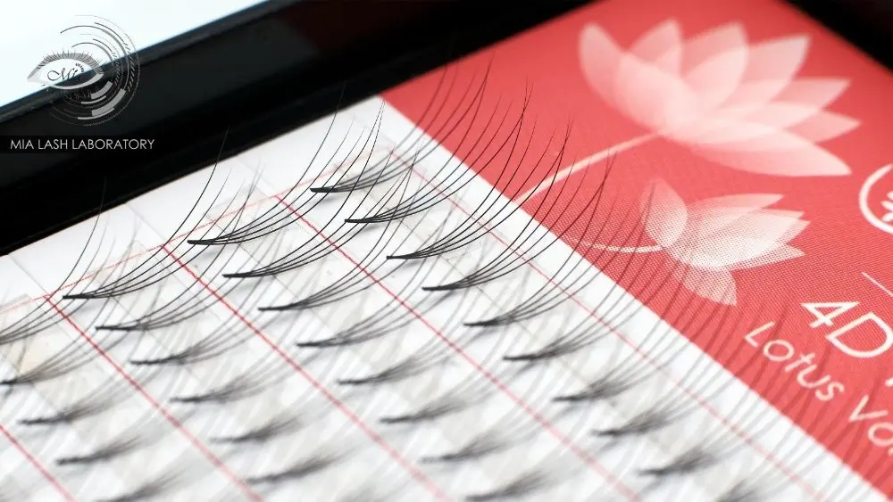 [4D 0 10 C/D] Миа Лотос эффективно быстрая скорость предварительно сделанный 4D объем