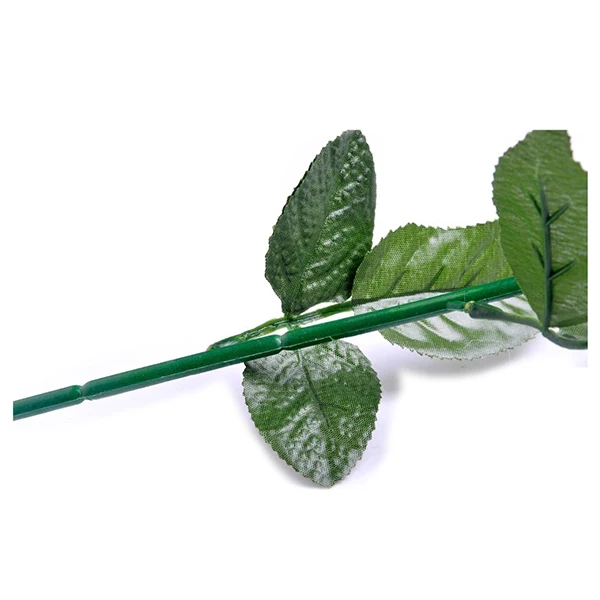 Роза романтическая наружная садовая дорожка для сада Тюльпан бар пейзаж цветок