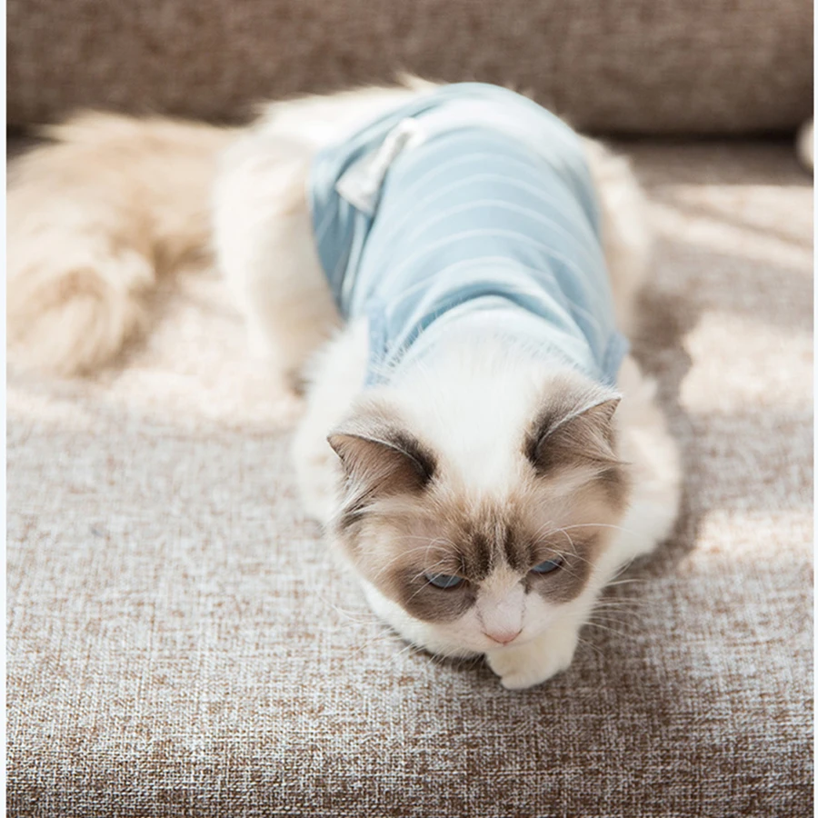 Костюм для котенка костюм кошки всех сезонов отдыха Ropa Para Gatos De Navidad одежда зимняя