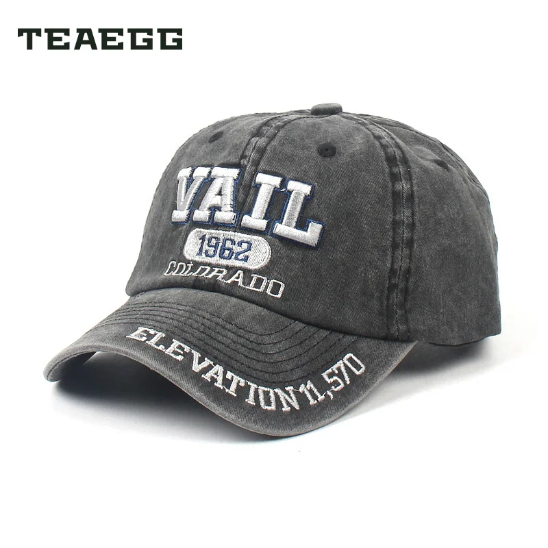 Мужская бейсболка TEAEGG Snapback Gorras кепка s для мужчин папа шляпа с фирменным