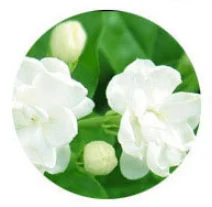 1pc Jasmine 1 шт. натуральное цветочное саше с подвесным крюком осушенный домашний автомобильный шкаф освежитель для ящиков духи-Саше сумка 4 аромата - Аромат: 1pc Jasmine