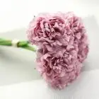 Новые искусственные шелковые искусственные цветы Пион цветочный свадебный букет невесты декоративное украшение в виде гортензии* 30 Горячая Распродажа - Цвет: E