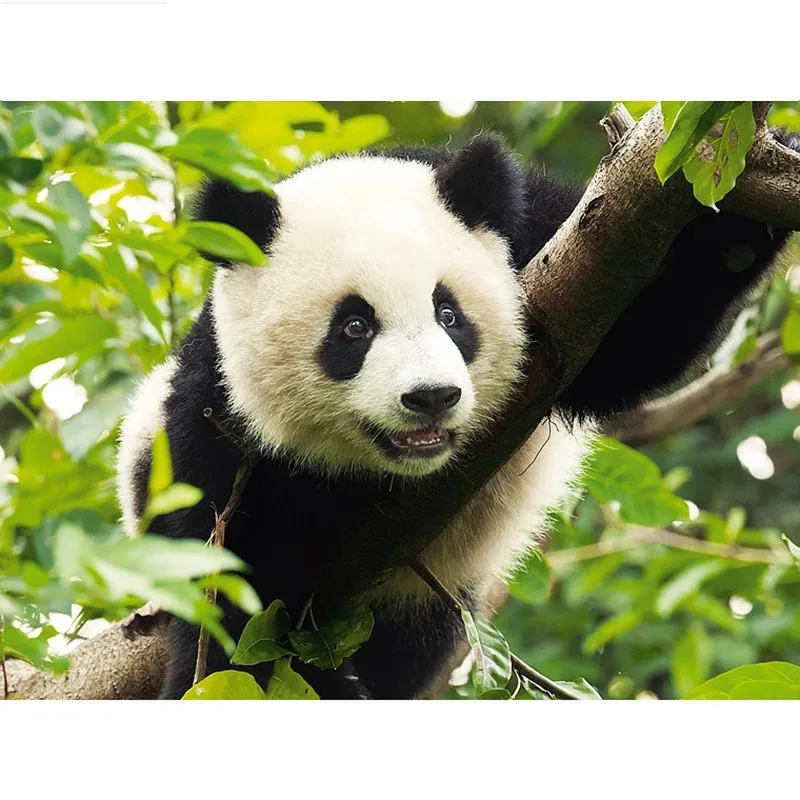 

5D DIY Diamond painting panda Climbing tree Full square/Round Diamond embroidery Cross Stitch Rhinestone Mosaic decor NX