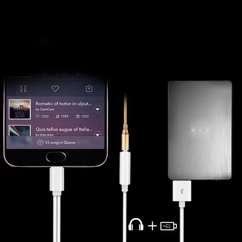2 в 1 USB Type-C (папа) + 3 5 мм разъем для наушников и зарядный порт зарядки прослушивания