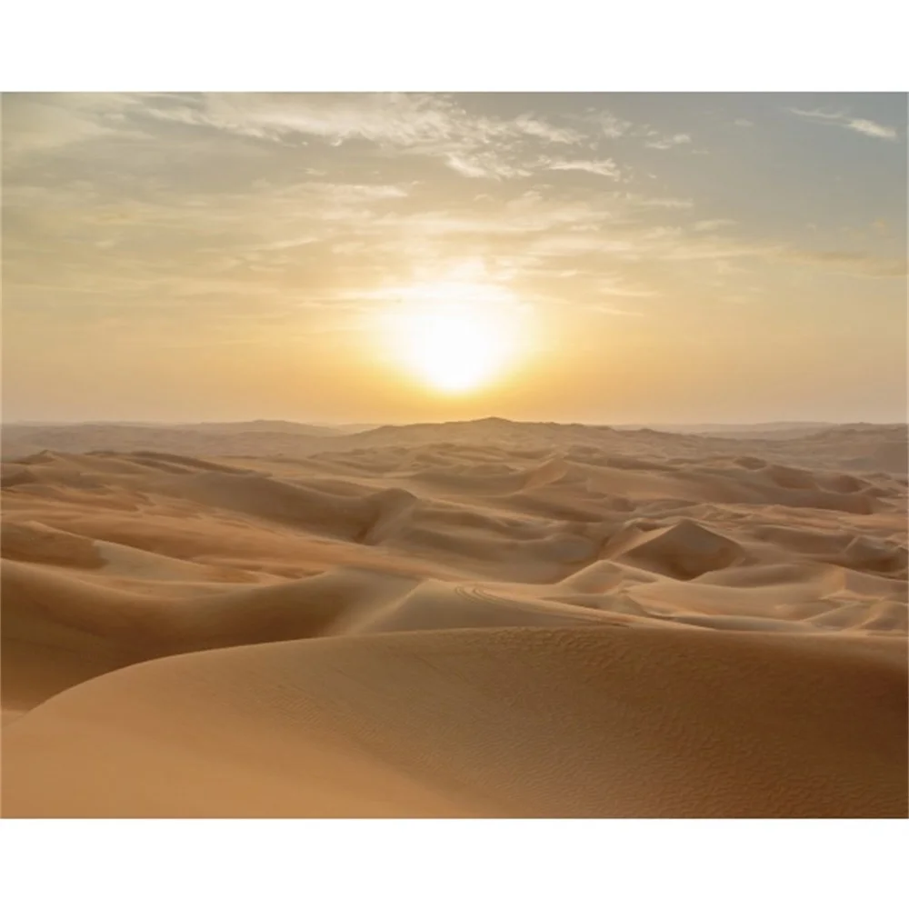 

Laeacco Desert Sunrise HD Canvas Painting Modern Home Decoration Posters Prints Nature Landscape Wall Art Picture Living Room