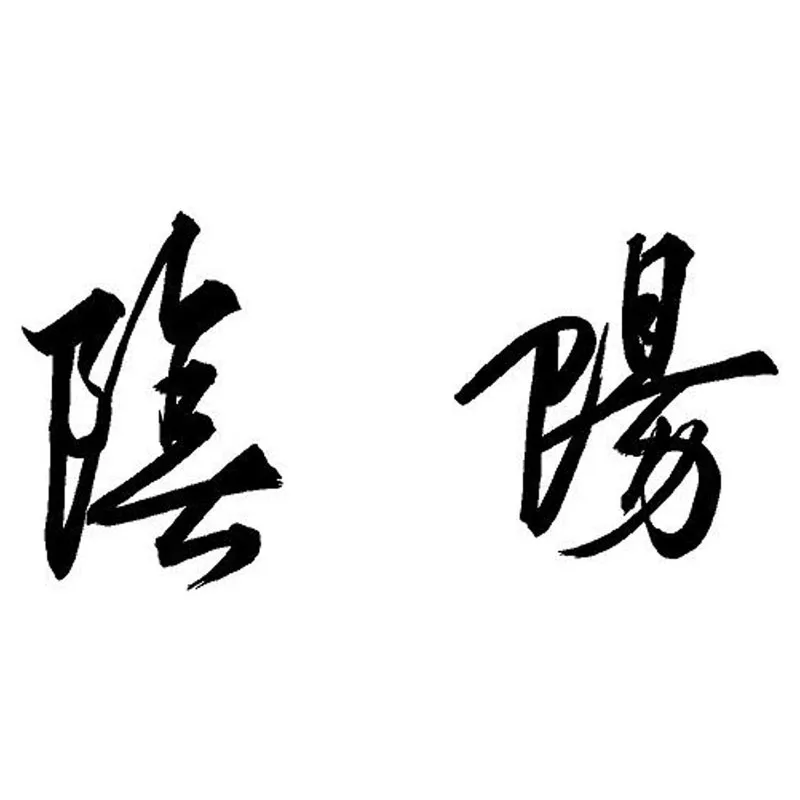 16 5*8 3 см YIN YANG Китайский Персонаж наклейка на тело автомобиля классический стиль