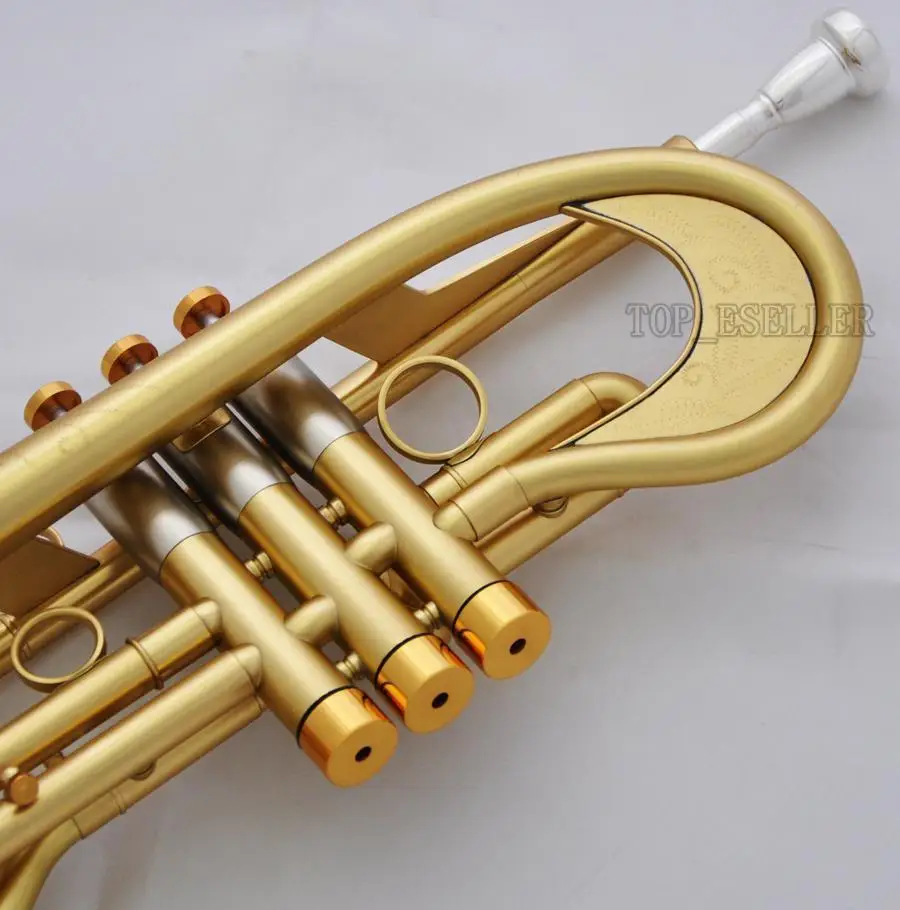 Профессиональный Чехол с матовой отделкой для Bb Trumpet под заказ