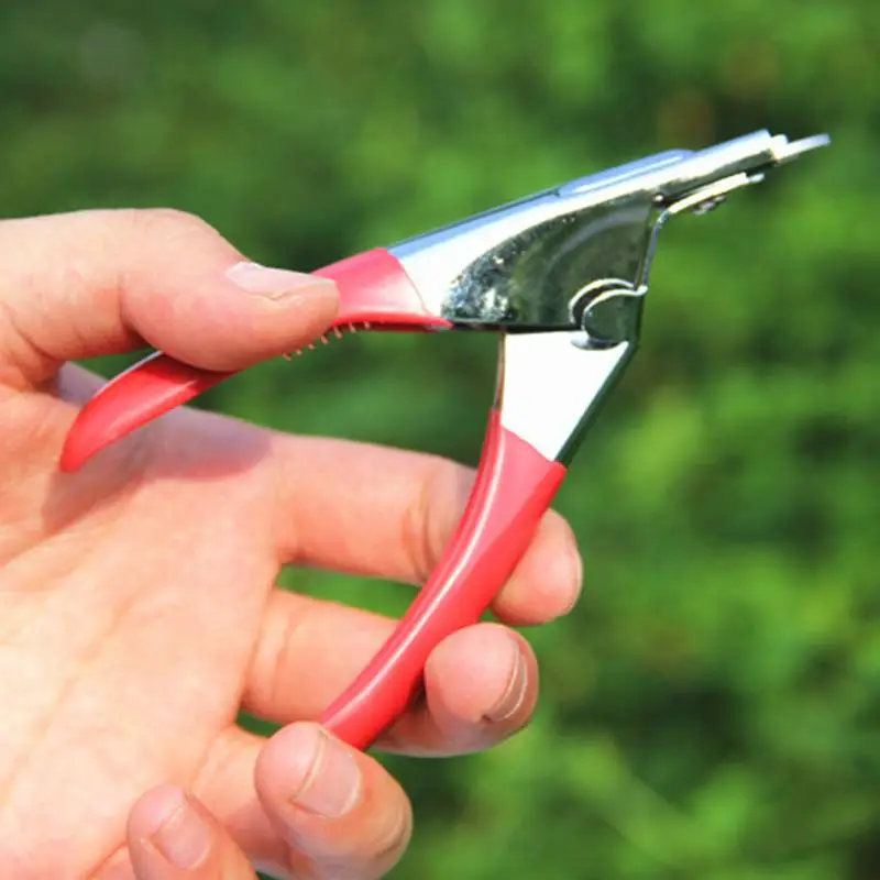 Новый кота собаки любимчика кусачки для ногтей животных Toe коготь Ножницы