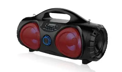 Red ZIENSTAR 10 Вт беспроводной Bluetooth спортивный динамик, портативный наружный сабвуфер, поддержка TF/USB карты, fm-радио, Aux, микрофон - Цвет: Red