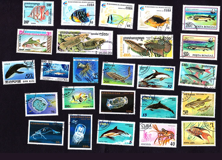 Продажа 50 шт./лот морские животные все разные из многих стран не повторяют