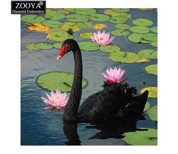Zooya полный квадратный алмаз 5D поделки алмазов картина черный Лебединое озеро