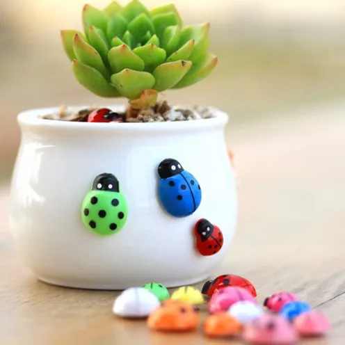 Леди Багз насекомые битл Фея Сад миниатюрные гномы моховые террариумы изделия из