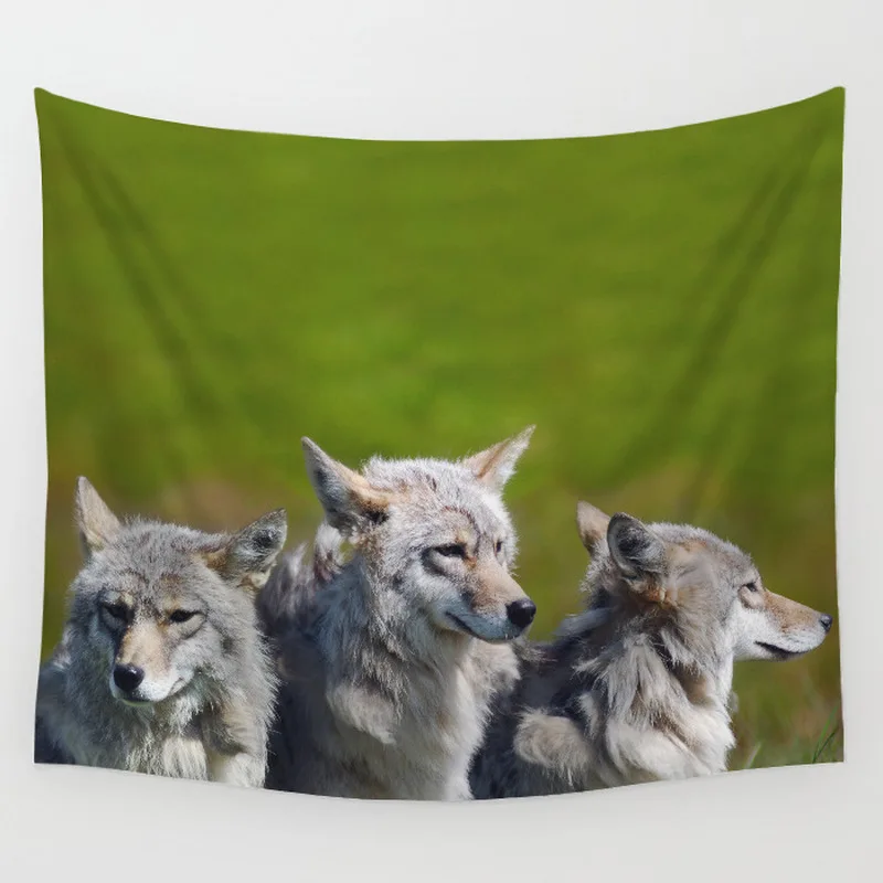 Europe Animal Print Wall Hanging Tapestry Wolf Cat Bear Cloth Bed Room Decoration Yoga Shawl Beach Towel Summer Travel G75 | Дом и сад