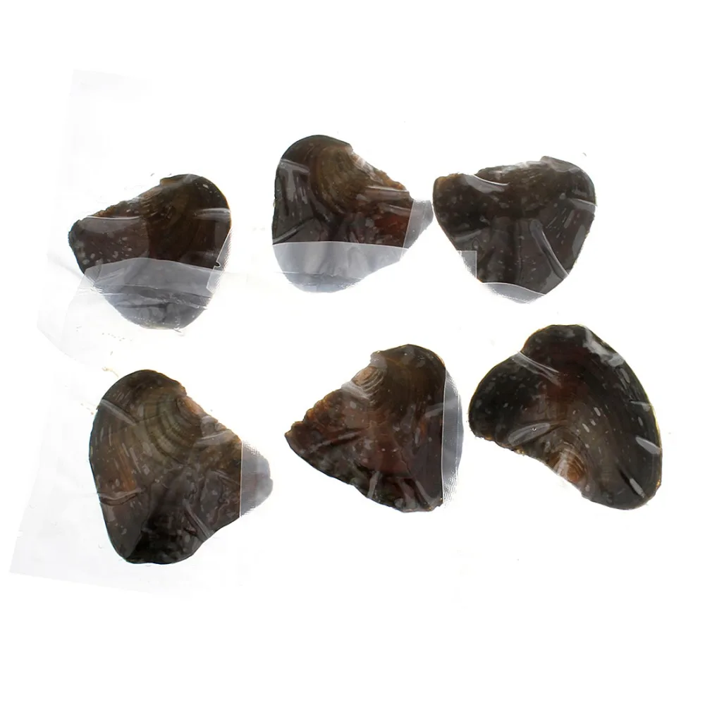 

10PCs Vacuum Pack Oyster Wish Freshwater Pearl Pearl Mussel Shell With Pearl Inside Pearl 2018 Hot Sale Mysterious Gift Surprise