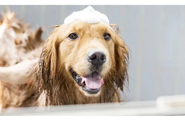 PETASIA Pet Bath Brush Clean Massage Comb Silicone Pet Supplies Bathing Cat Dog Foam Brush For Small Big Dogs Grooming Comb