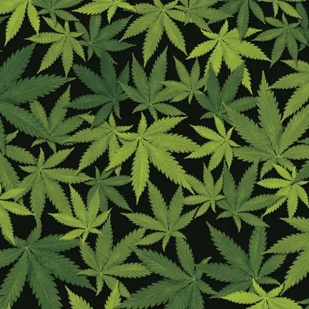 

2M/6M/10M Length Aqua Transfer Printing Width 50cm Water Transfer Printing Film WDF380