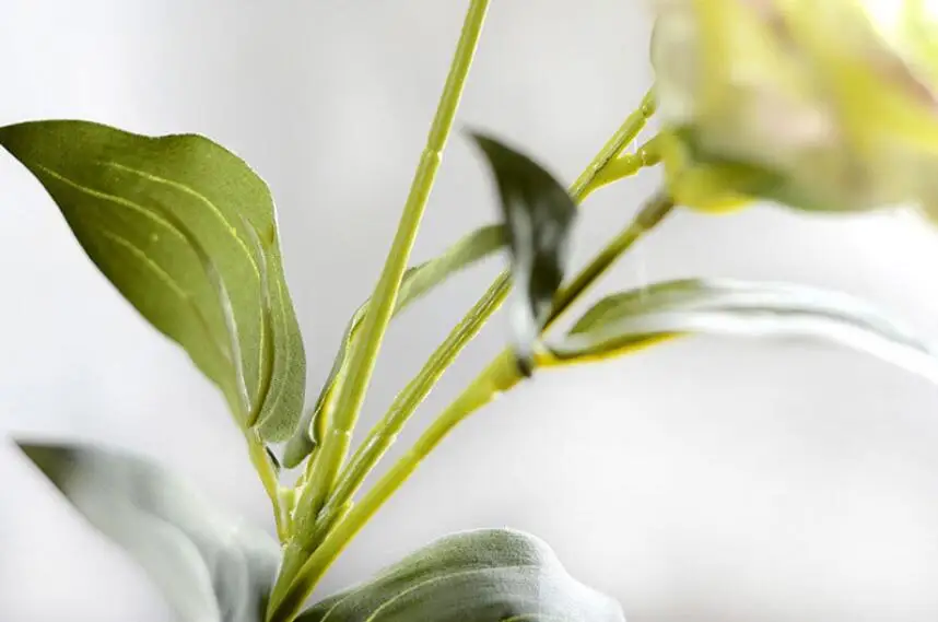 Реальные цветы 70 см красочные Трайдент Campanulaceae искусственные цветы для украшения свадьбы вечерние украшения